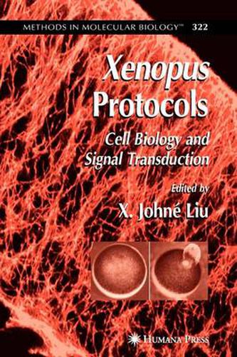 Cover image for Xenopus Protocols: Cell Biology and Signal Transduction