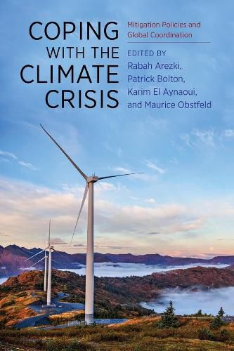 Cover image for Coping with the Climate Crisis: Mitigation Policies and Global Coordination