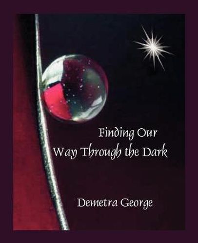 Cover image for Finding Our Way Through the Dark