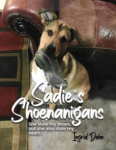 Cover image for Sadie's Shoenanigans