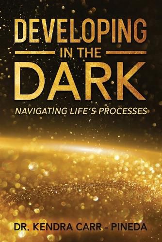 Cover image for Developing In The Dark