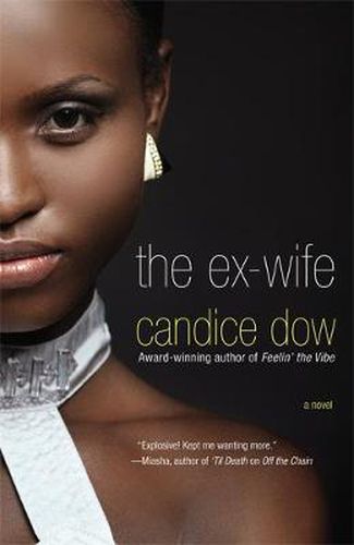 Cover image for The Ex-Wife