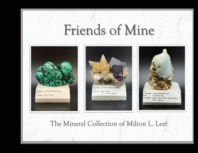 Cover image for Friends of Mine