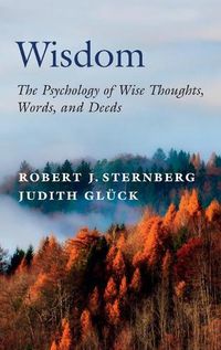 Cover image for Wisdom: The Psychology of Wise Thoughts, Words, and Deeds