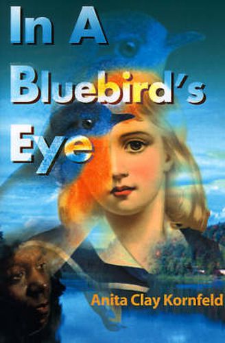 Cover image for In a Bluebird's Eye