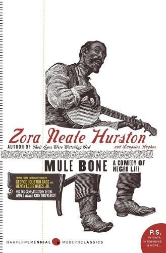 Cover image for Mule Bone: A Comedy of Negro Life