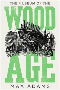 Cover image for The Museum of the Wood Age