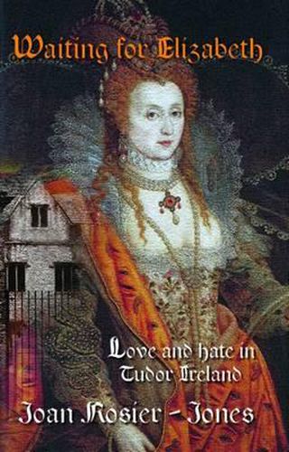 Cover image for Waiting For Elizabeth: Love and Hate in Tudor Ireland