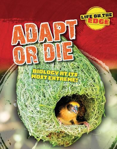 Cover image for Adapt or Die