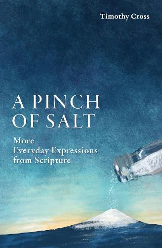 Cover image for A Pinch of Salt: More Everyday Expressions from Scripture