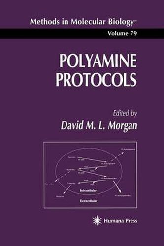 Cover image for Polyamine Protocols