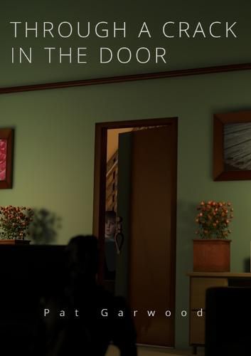 Cover image for Through a Crack in the Door