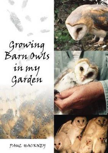 Cover image for Growing Barn Owls in My Garden