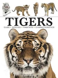 Cover image for Tigers