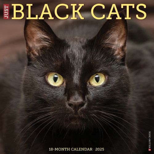 Cover image for Black Cats 2026 12 X 12 Wall Calendar