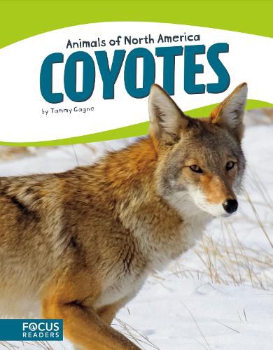 Cover image for Animals of North America: Coyotes