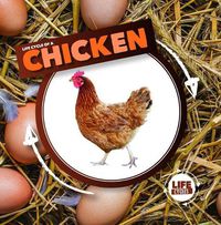 Cover image for Life Cycle of a Chicken