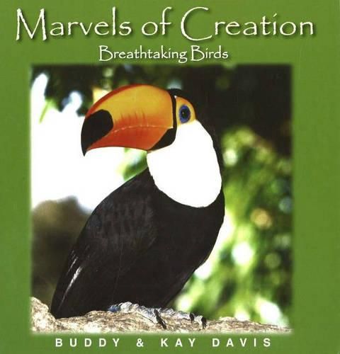 Marvels of Creation: Breathtaking Birds