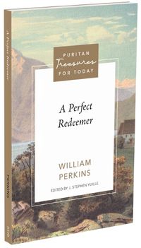 Cover image for A Perfect Redeemer