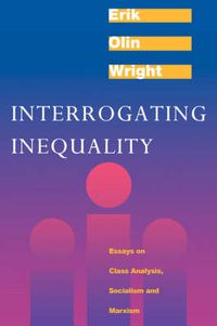 Cover image for Interrogating Inequality: Essays on Class Analysis, Socialism and Marxism