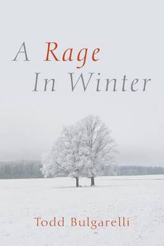 Cover image for A Rage in Winter