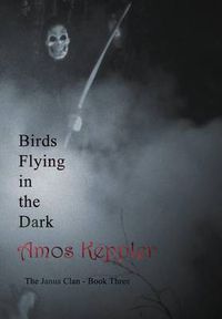 Cover image for Birds Flying in the Dark