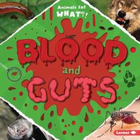 Cover image for Blood and Guts