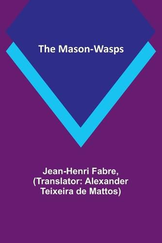 The Mason-Wasps