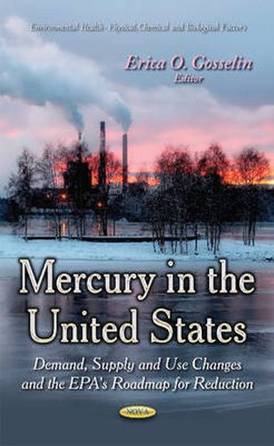 Cover image for Mercury in the United States: Demand, Supply & Use Changes & the EPA's Roadmap for Reduction