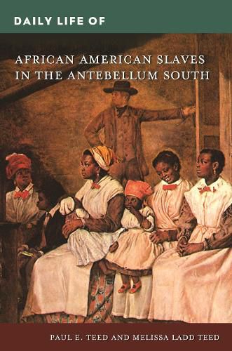 Cover image for Daily Life of African American Slaves in the Antebellum South