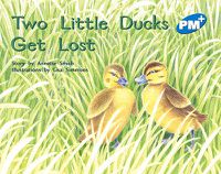 Cover image for Two Little Ducks Get Lost