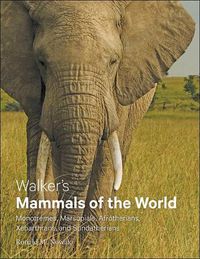 Cover image for Walker's Mammals of the World: Monotremes, Marsupials, Afrotherians, Xenarthrans, and Sundatherians