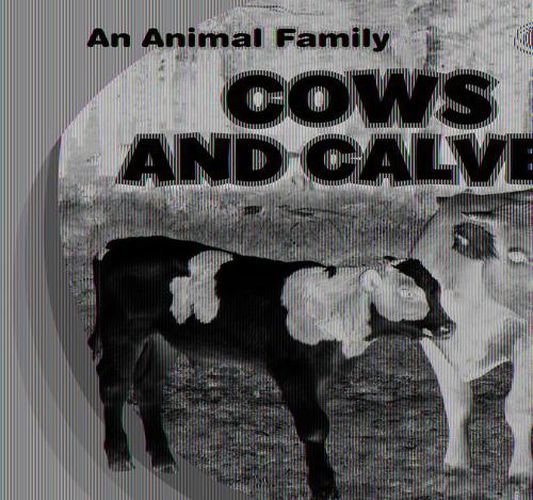 Cover image for Cows and Calves