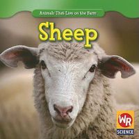 Cover image for Sheep