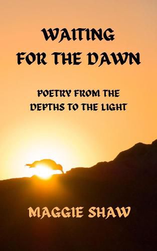 Cover image for Waiting for the Dawn: Poetry from the depths to the light