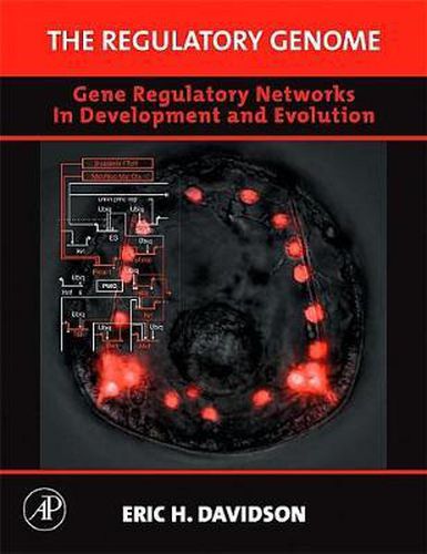 Cover image for The Regulatory Genome: Gene Regulatory Networks in Development and Evolution