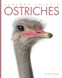 Cover image for Ostriches