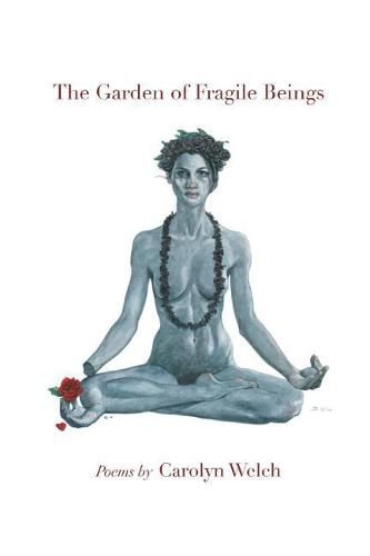 Cover image for The Garden of Fragile Beings