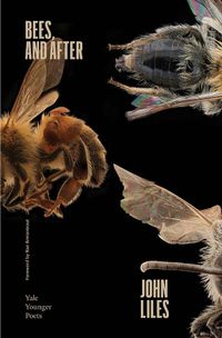 Cover image for Bees, and After