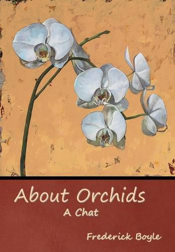 About Orchids: A Chat