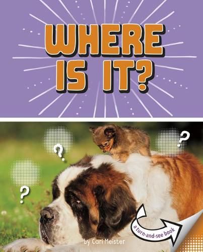 Cover image for Where Is It: A Turn-And-See Book