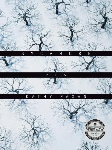 Cover image for Sycamore: Poems