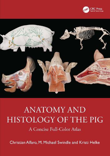 Cover image for Anatomy and Histology of the Pig