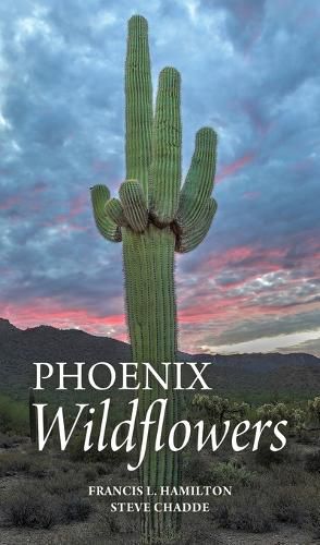 Cover image for Phoenix Wildflowers