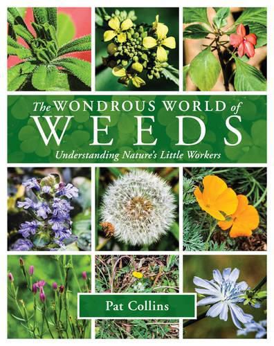 Cover image for The Wondrous World of Weeds