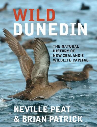 Cover image for Wild Dunedin: The natural history of New Zealand's wildlife capital