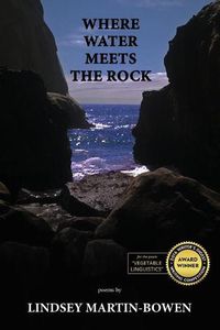 Cover image for Where Water Meets the Rock