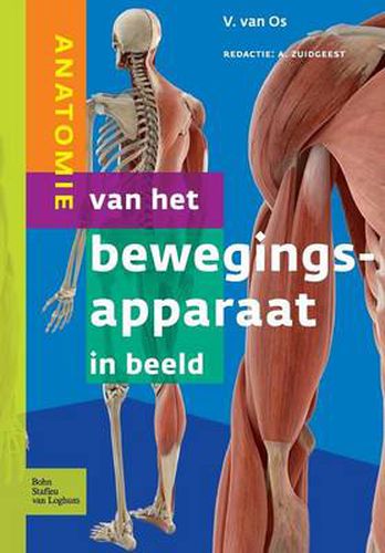 Cover image for Anatomie Van Het Bewegingsapparaat in Beeld