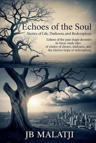 Cover image for Echoes of the Soul
