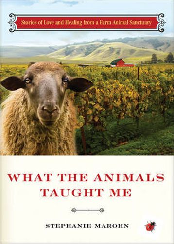 Cover image for What the Animals Taught Me: Stories of Love and Healing from a Farm Animal Sanctuary